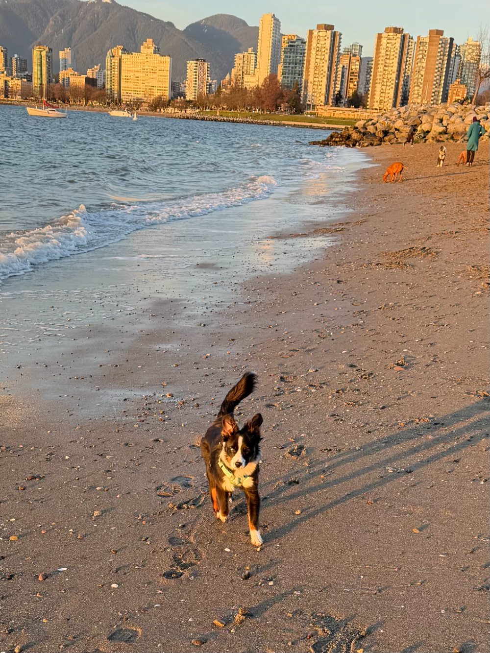 Kits Beach at sunset